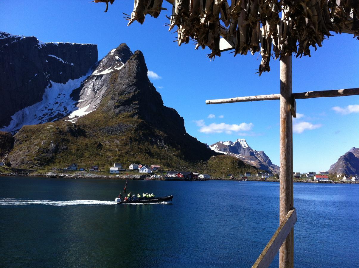 Lofoten - Rooms&apartments 3* Reine